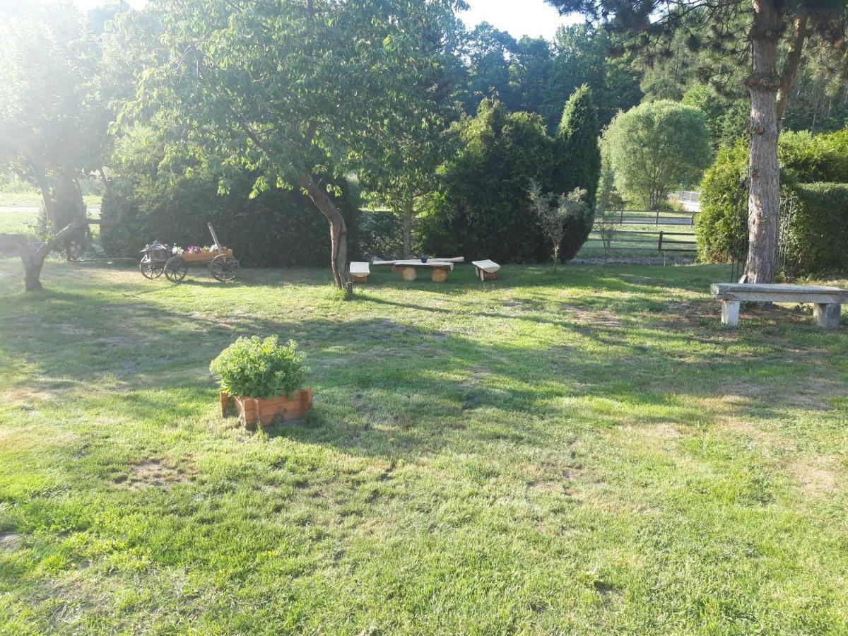 Na Cervene Louce Relax 1 Vila Cheb Exterior foto